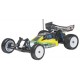 1/10 2WD BUGGY